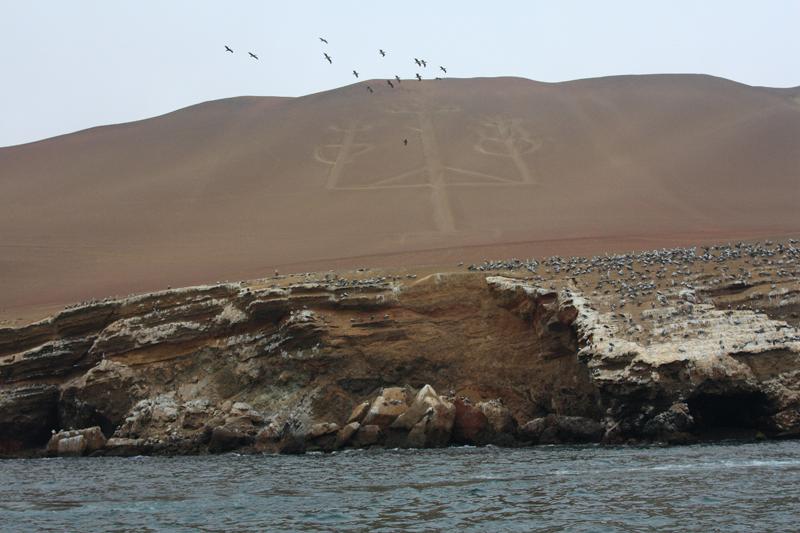 1125-per le isole Ballestas,19 luglio 2013.JPG